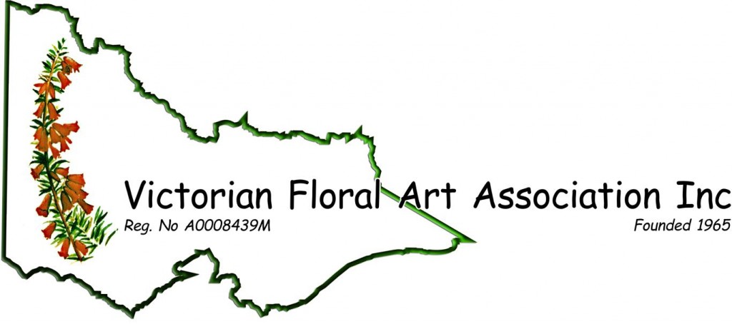 VFAA logo